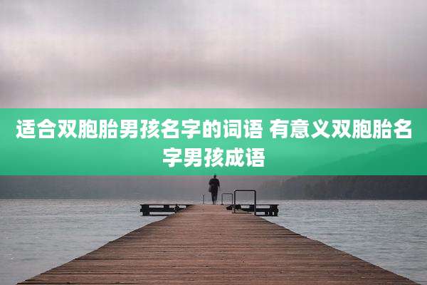 适合双胞胎男孩名字的词语 有意义双胞胎名字男孩成语
