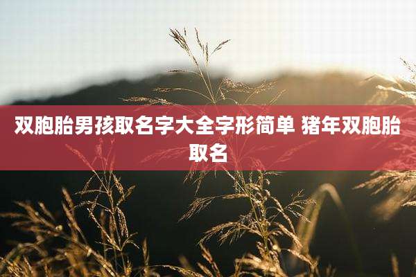 双胞胎男孩取名字大全字形简单 猪年双胞胎取名