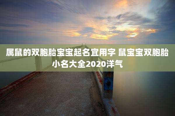 属鼠的双胞胎宝宝起名宜用字 鼠宝宝双胞胎小名大全2020洋气