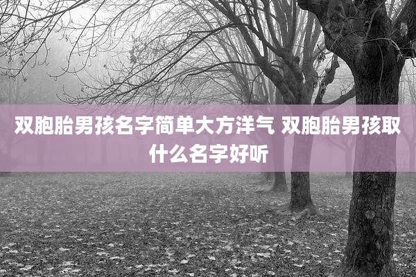 双胞胎男孩名字简单大方洋气 双胞胎男孩取什么名字好听