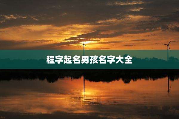 程字起名男孩名字大全