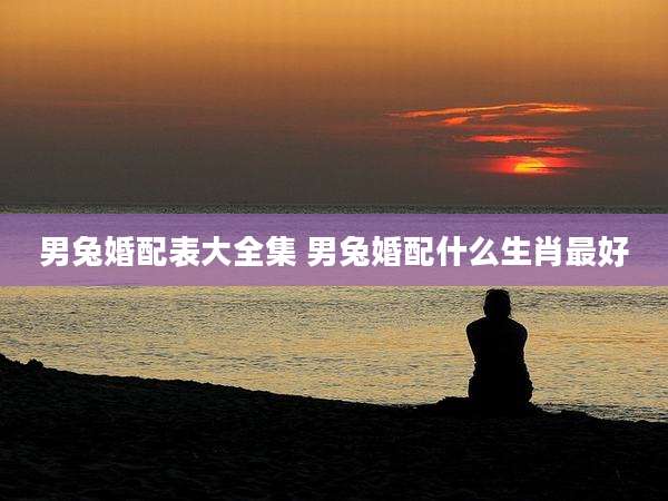 男兔婚配表大全集 男兔婚配什么生肖最好
