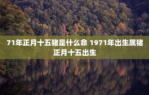 71年正月十五猪是什么命 1971年出生属猪正月十五出生