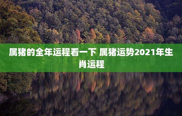 属猪的全年运程看一下 属猪运势2021年生肖运程