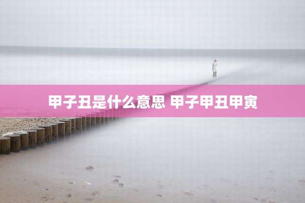 甲子丑是什么意思 甲子甲丑甲寅