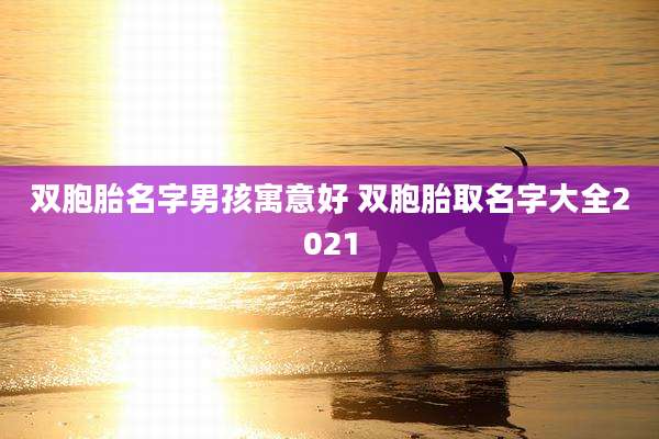 双胞胎名字男孩寓意好 双胞胎取名字大全2021