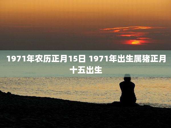 1971年农历正月15日 1971年出生属猪正月十五出生