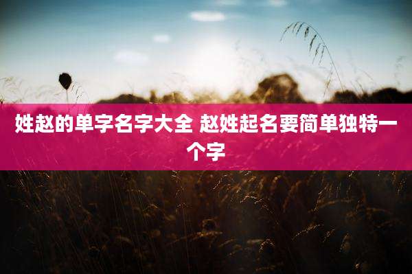 姓赵的单字名字大全 赵姓起名要简单独特一个字