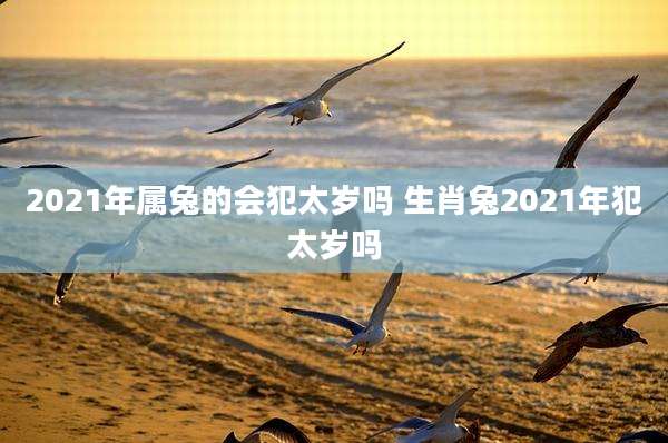 2021年属兔的会犯太岁吗 生肖兔2021年犯太岁吗