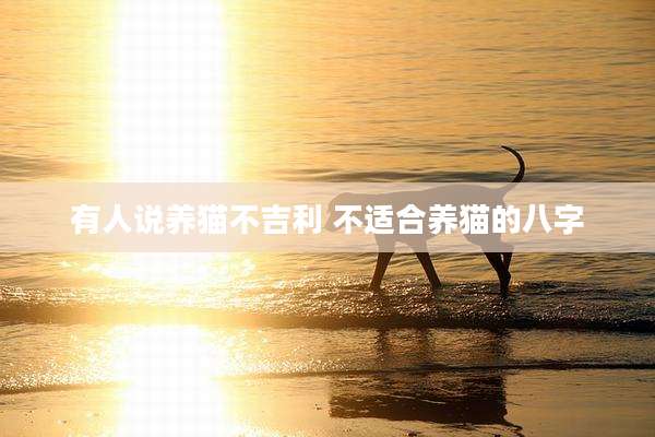 有人说养猫不吉利 不适合养猫的八字