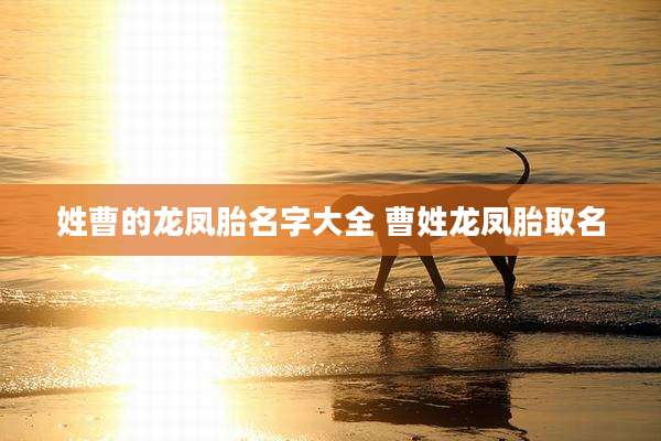 姓曹的龙凤胎名字大全 曹姓龙凤胎取名