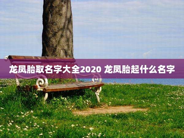 龙凤胎取名字大全2020 龙凤胎起什么名字