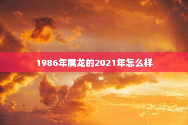 1986年属龙的2021年怎么样
