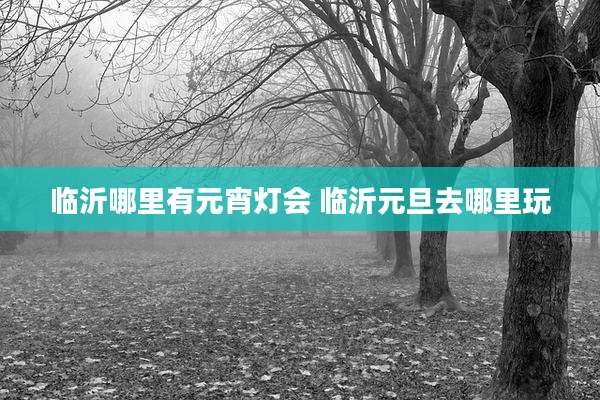 临沂哪里有元宵灯会 临沂元旦去哪里玩