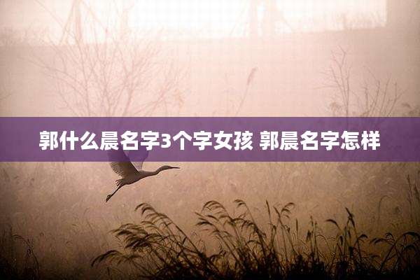 郭什么晨名字3个字女孩 郭晨名字怎样