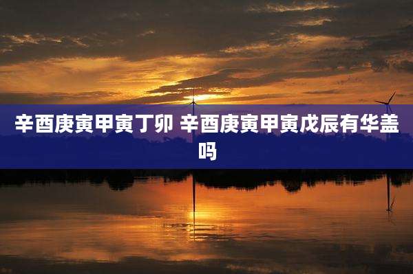 辛酉庚寅甲寅丁卯 辛酉庚寅甲寅戊辰有华盖吗