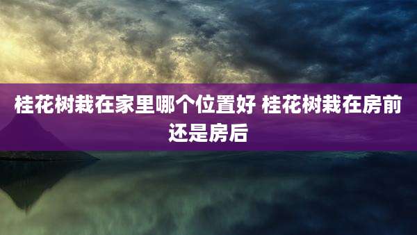 桂花树栽在家里哪个位置好 桂花树栽在房前还是房后
