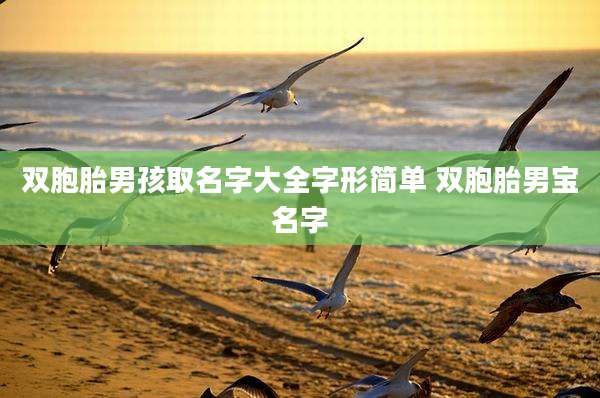 双胞胎男孩取名字大全字形简单 双胞胎男宝名字