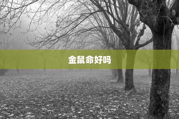金鼠命好吗