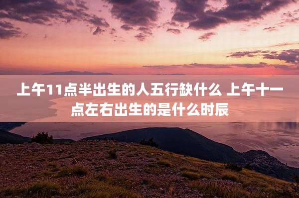 上午11点半出生的人五行缺什么 上午十一点左右出生的是什么时辰