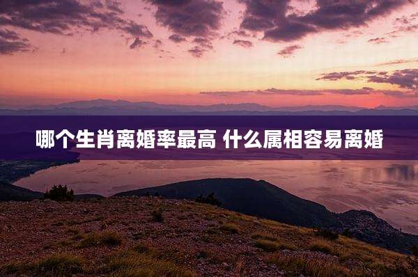 哪个生肖离婚率最高 什么属相容易离婚