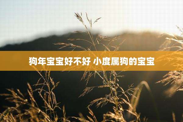 狗年宝宝好不好 小度属狗的宝宝