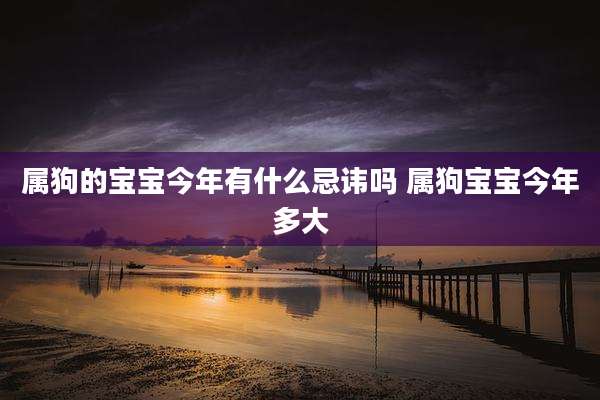 属狗的宝宝今年有什么忌讳吗 属狗宝宝今年多大