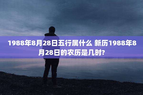 1988年8月28日五行属什么 新历1988年8月28日的农历是几时?