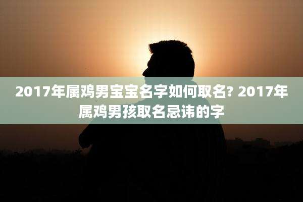 2017年属鸡男宝宝名字如何取名? 2017年属鸡男孩取名忌讳的字