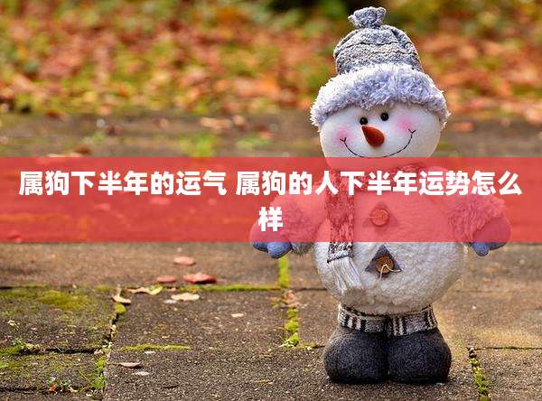 属狗下半年的运气 属狗的人下半年运势怎么样