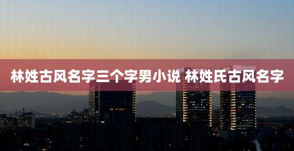 林姓古风名字三个字男小说 林姓氏古风名字
