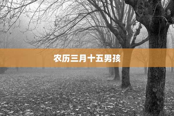 农历三月十五男孩