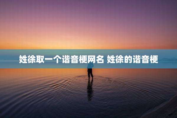 姓徐取一个谐音梗网名 姓徐的谐音梗
