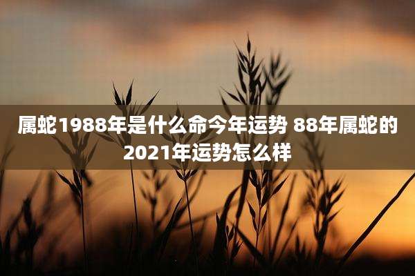 属蛇1988年是什么命今年运势 88年属蛇的2021年运势怎么样