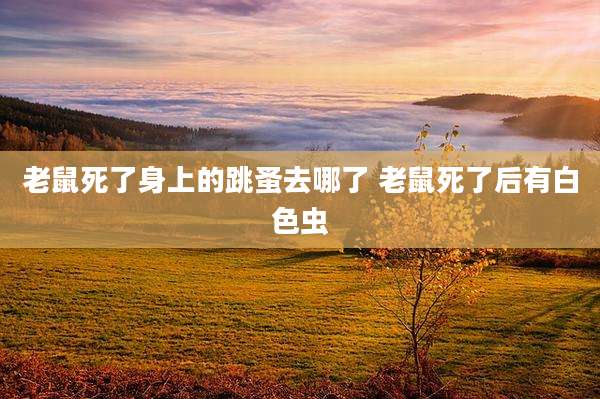 老鼠死了身上的跳蚤去哪了 老鼠死了后有白色虫