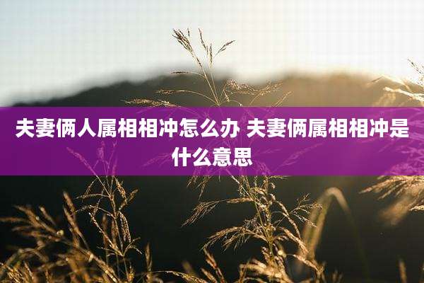夫妻俩人属相相冲怎么办 夫妻俩属相相冲是什么意思