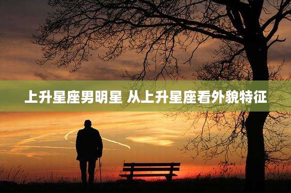 上升星座男明星 从上升星座看外貌特征