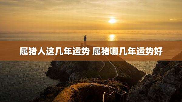 属猪人这几年运势 属猪哪几年运势好