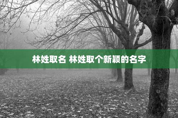 林姓取名 林姓取个新颖的名字