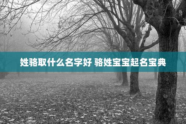 姓骆取什么名字好 骆姓宝宝起名宝典
