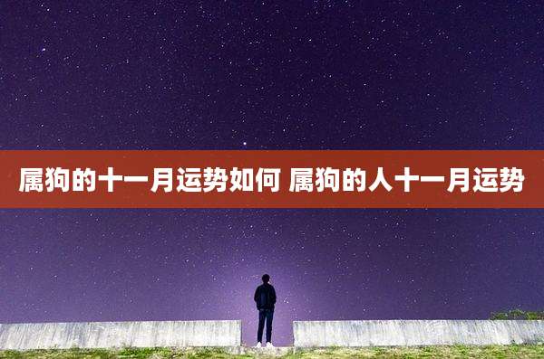 属狗的十一月运势如何 属狗的人十一月运势