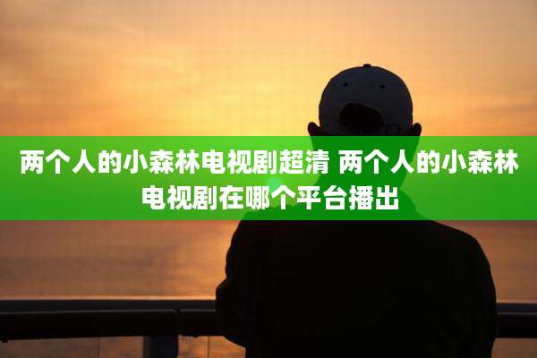 两个人的小森林电视剧超清 两个人的小森林电视剧在哪个平台播出
