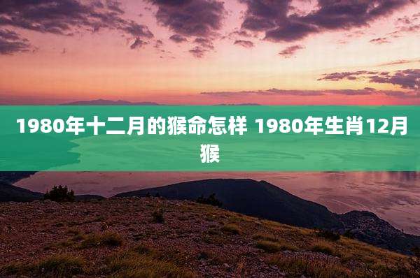 1980年十二月的猴命怎样 1980年生肖12月猴