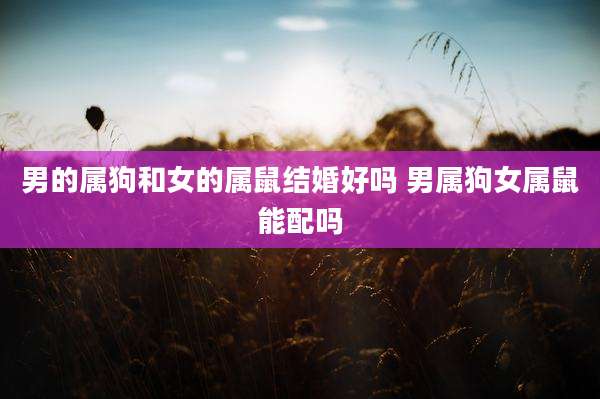 男的属狗和女的属鼠结婚好吗 男属狗女属鼠能配吗