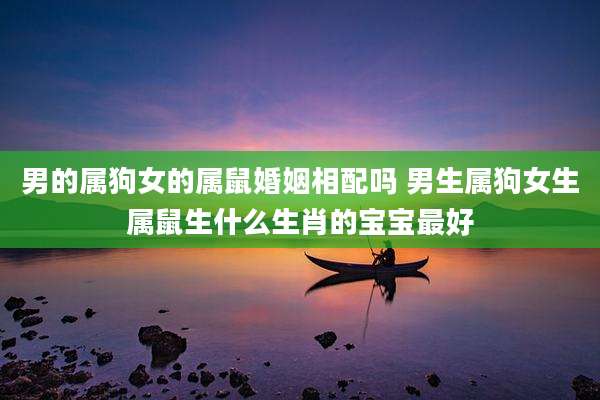 男的属狗女的属鼠婚姻相配吗 男生属狗女生属鼠生什么生肖的宝宝最好