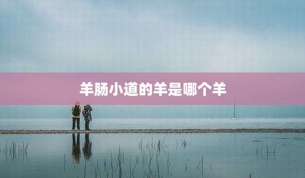 羊肠小道的羊是哪个羊
