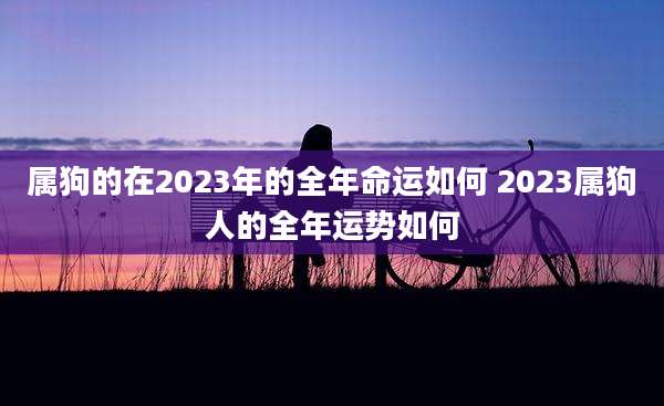 属狗的在2023年的全年命运如何 2023属狗人的全年运势如何