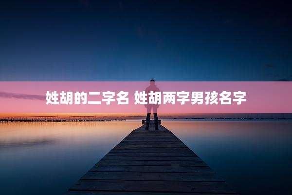 姓胡的二字名 姓胡两字男孩名字
