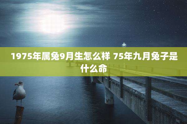 1975年属兔9月生怎么样 75年九月兔子是什么命