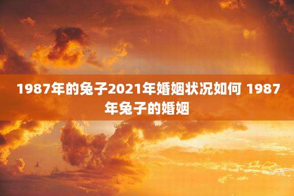 1987年的兔子2021年婚姻状况如何 1987年兔子的婚姻